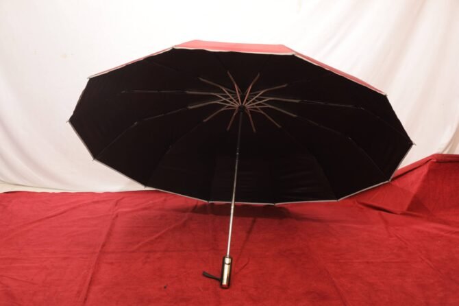 Royal look Umbrella  (102) - Image 4