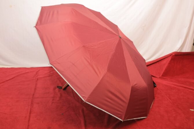 Royal look Umbrella  (102) - Image 5