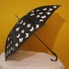 Magic Umbrella  (104) - Image 12