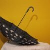 Magic Umbrella  (104) - Image 11