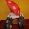 Magic Umbrella  (104) - Image 9