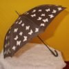 Magic Umbrella  (104) - Image 8